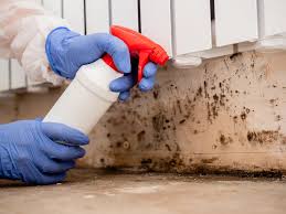 Mold Remediation for Vacation Homes in Alva, OK